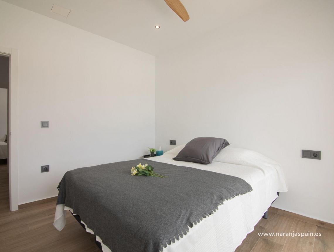  - Willa - Pinoso - Campo