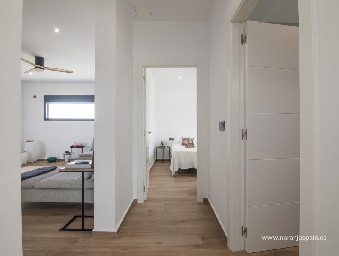  - Willa - Pinoso - Campo