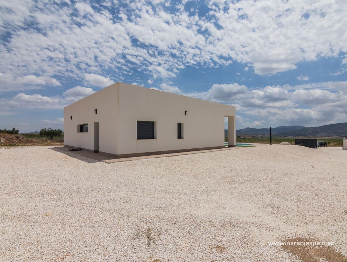  - Willa - Pinoso - Campo