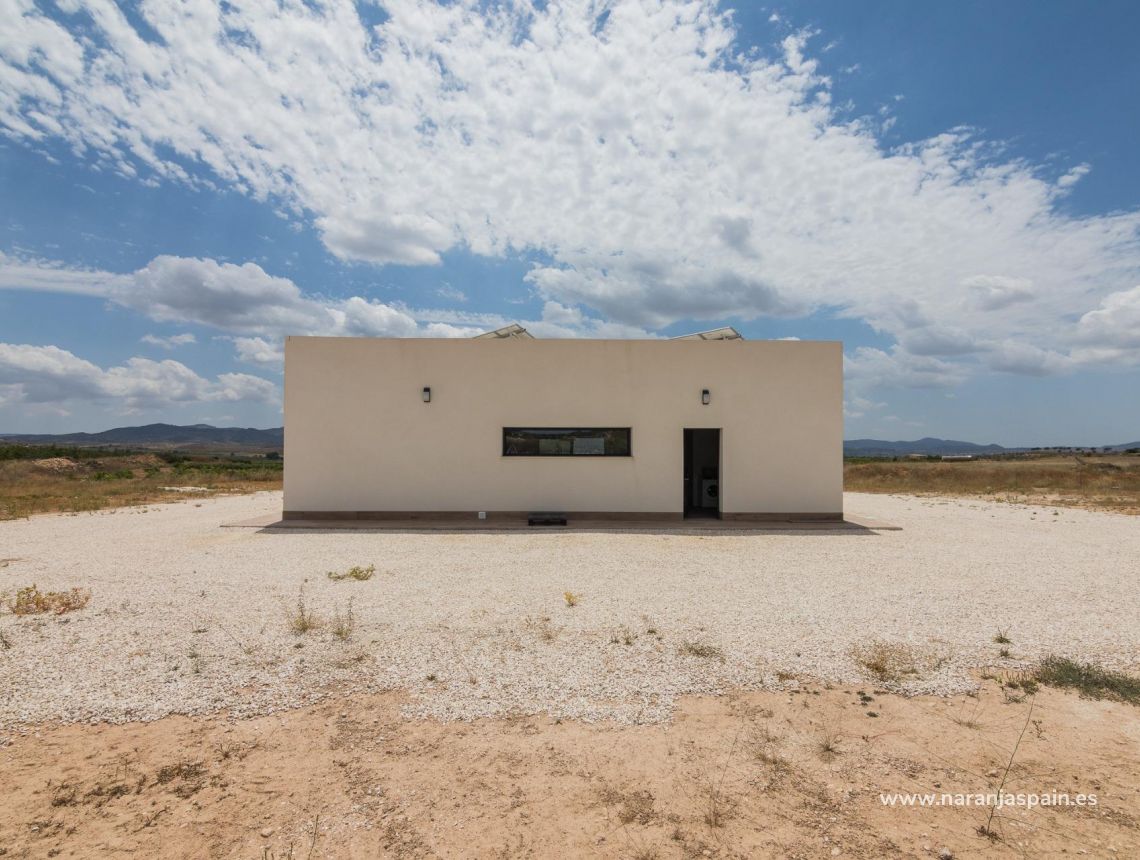  - Willa - Pinoso - Campo