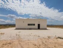  - Willa - Pinoso - Campo