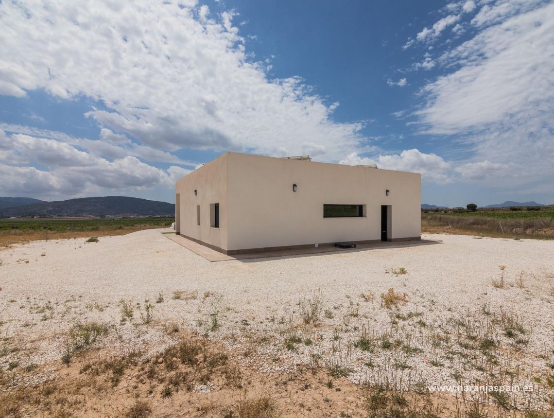  - Willa - Pinoso - Campo