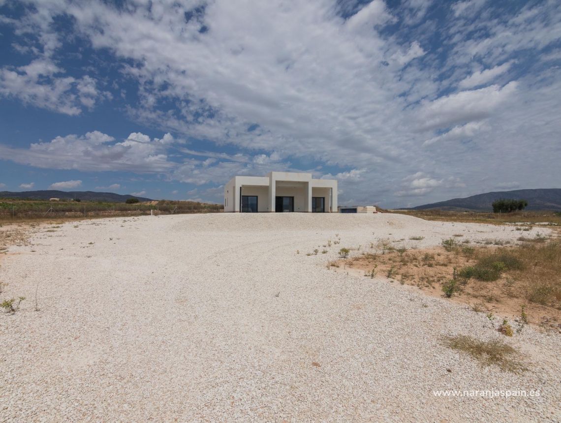  - Willa - Pinoso - Campo