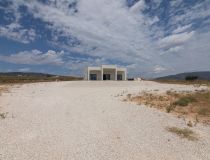  - Willa - Pinoso - Campo