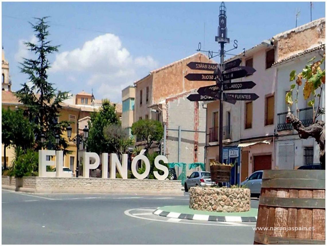  - Willa - Pinoso - Campo