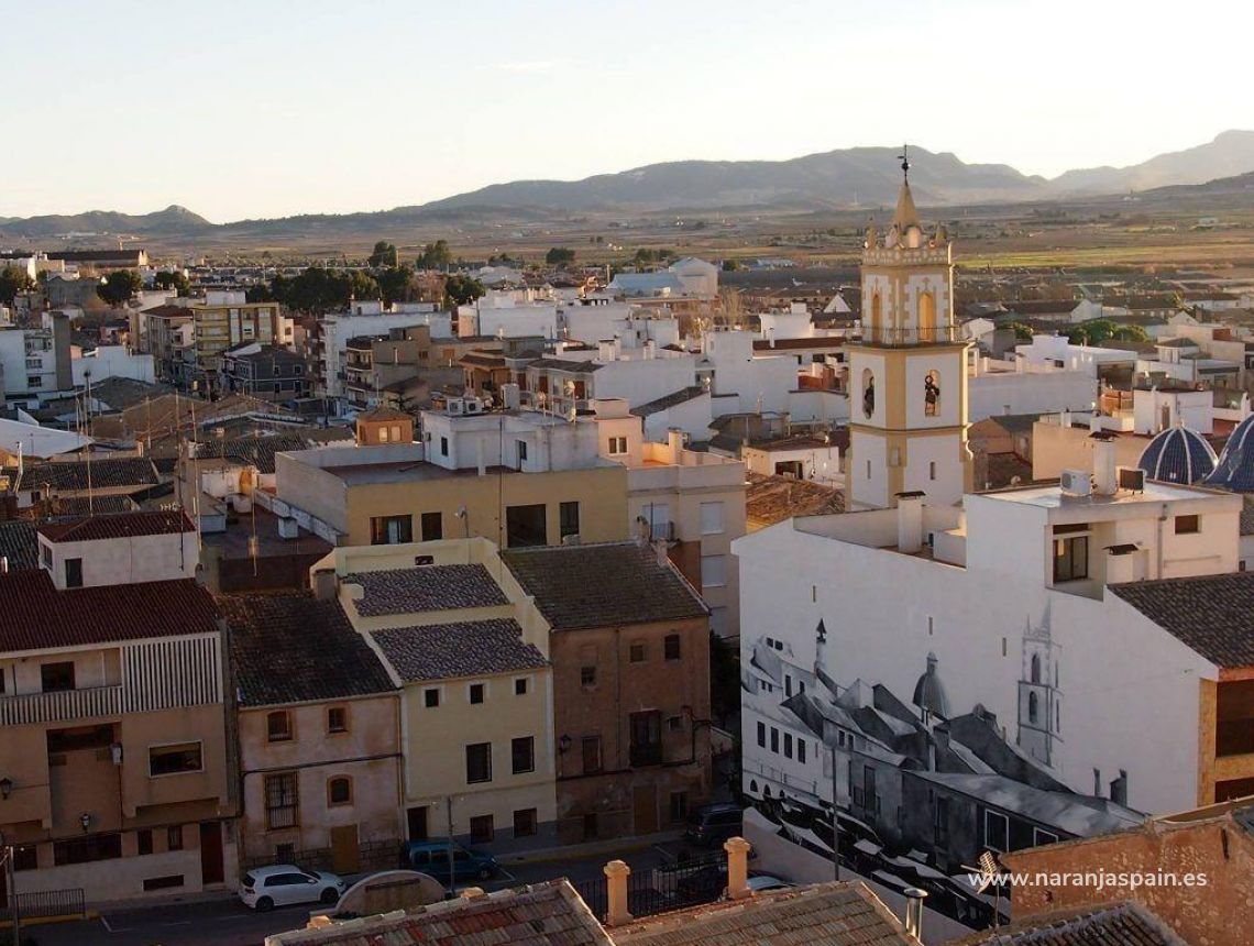  - Willa - Pinoso - Campo