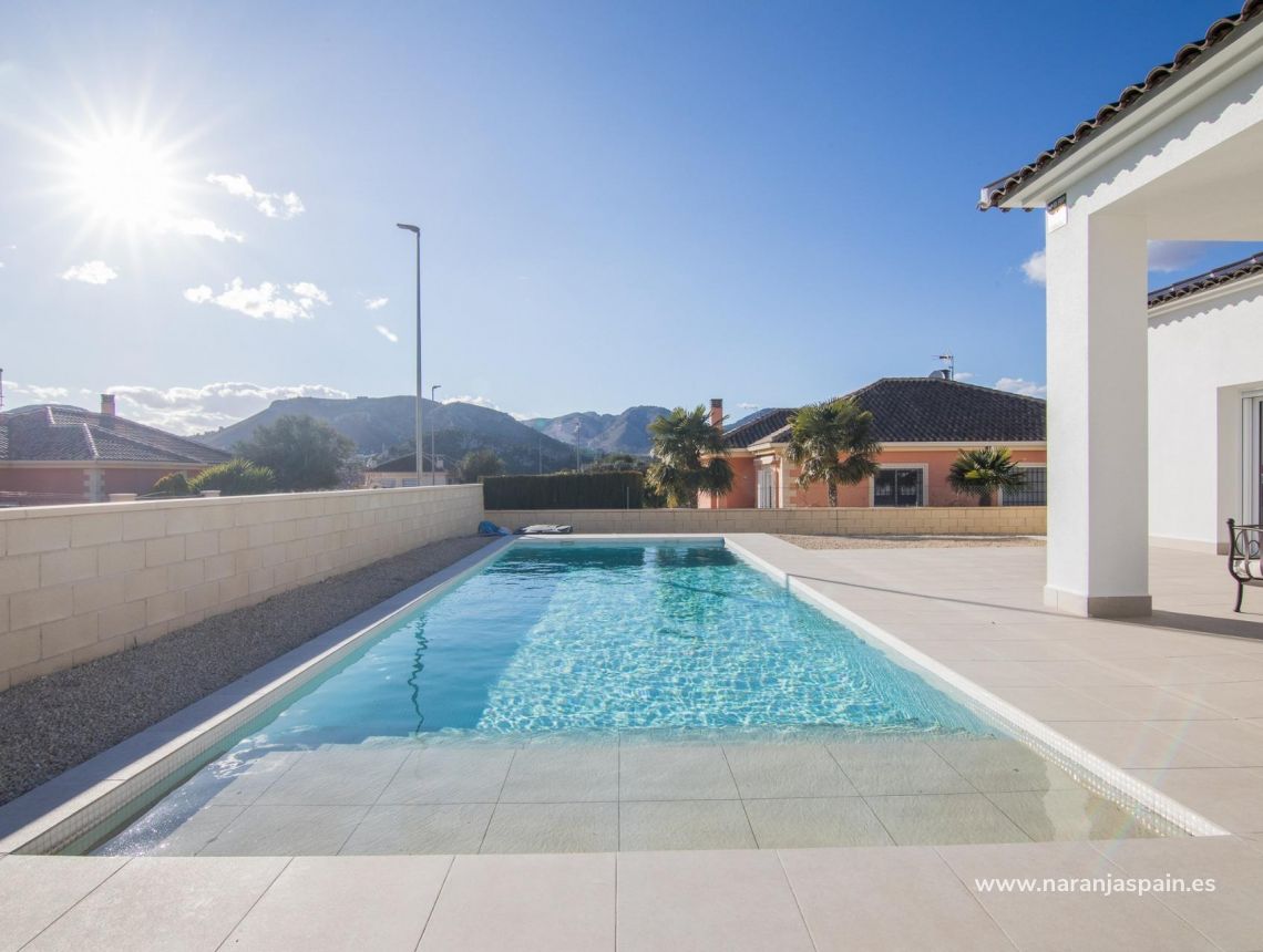  - Willa - Pinoso - Campo