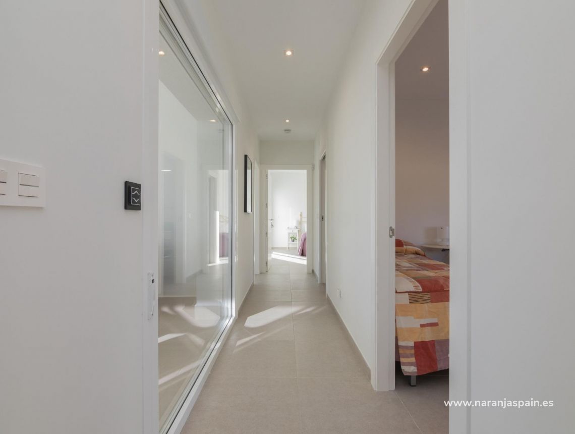  - Willa - Pinoso - Campo