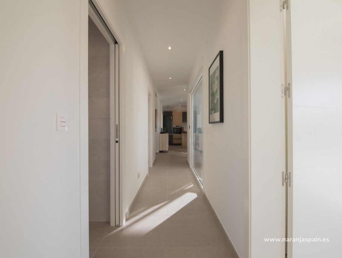  - Willa - Pinoso - Campo