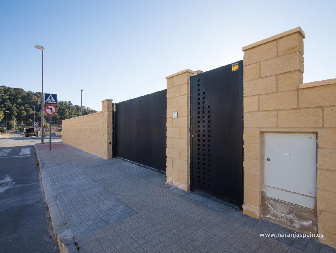  - Willa - Pinoso - Campo