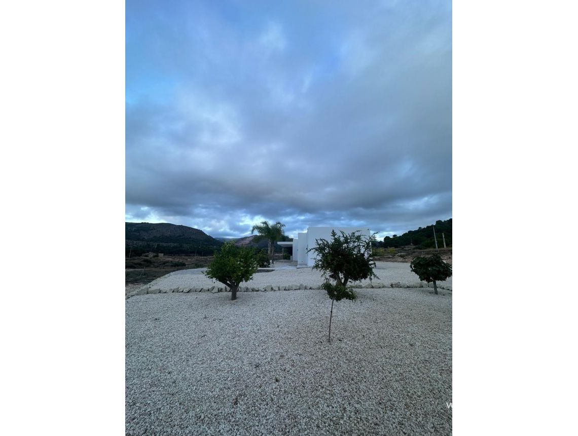  - Willa - Pinoso - Casas Pastor