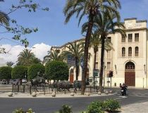  - Willa - Pinoso - Pinoso - El Pinós