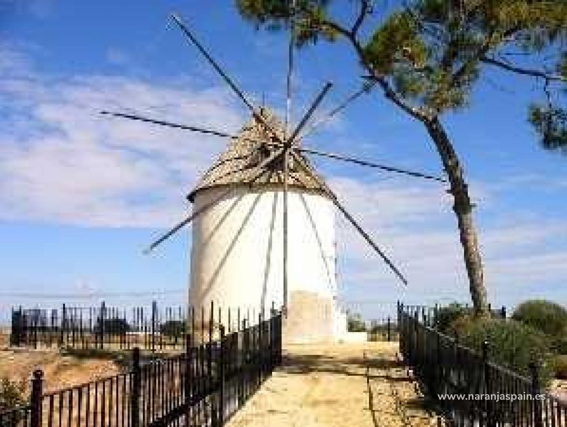  - Willa - Torre Pacheco - Torre-pacheco