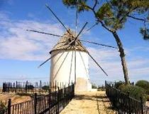  - Willa - Torre Pacheco - Torre-pacheco