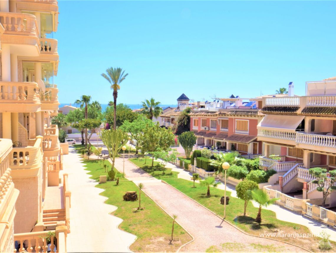 Wynajem długoterminowy - Apartament - Guardamar del Segura - Campomar