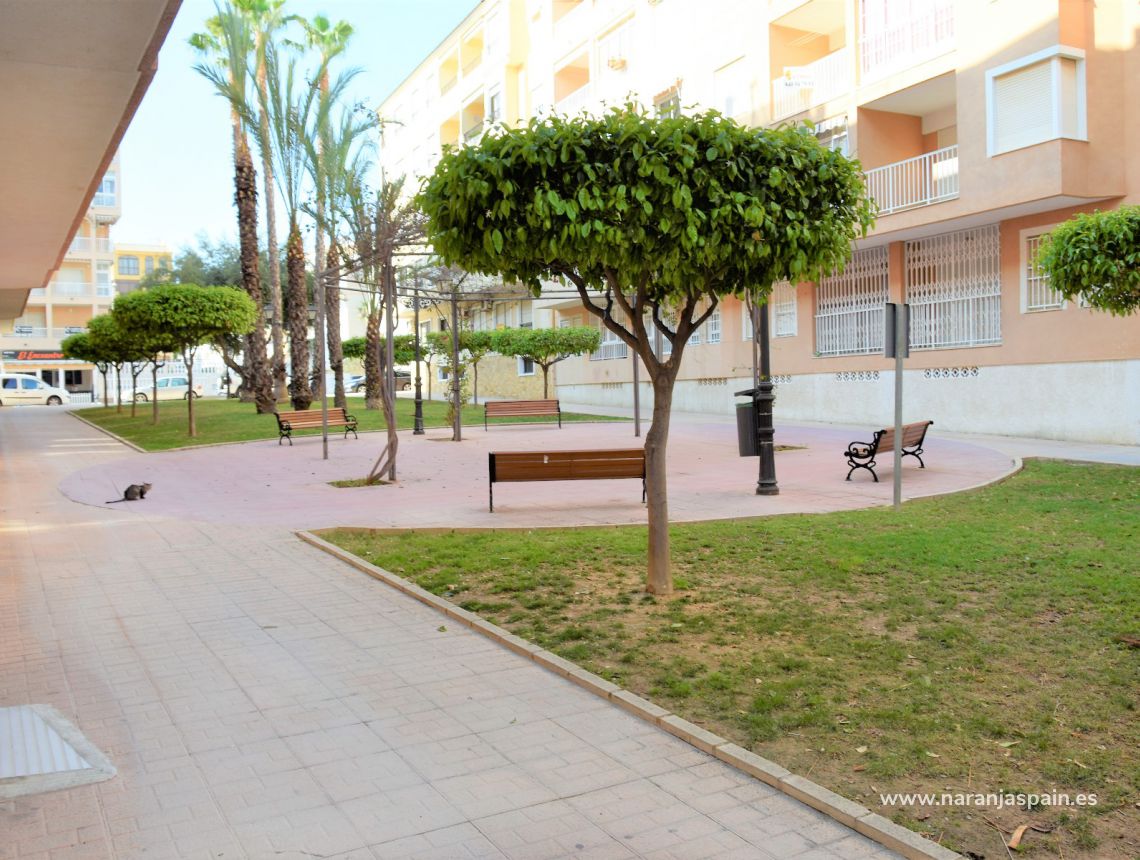 Wynajem długoterminowy - Apartament - Guardamar del Segura - Mercadona Guardamar