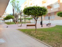 Wynajem długoterminowy - Apartament - Guardamar del Segura - Mercadona Guardamar