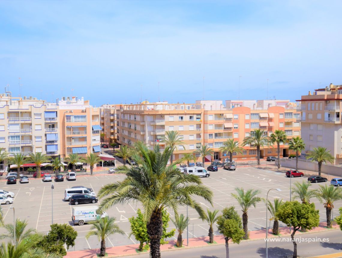 Wynajem długoterminowy - Apartament - Guardamar del Segura - Mercadona Guardamar