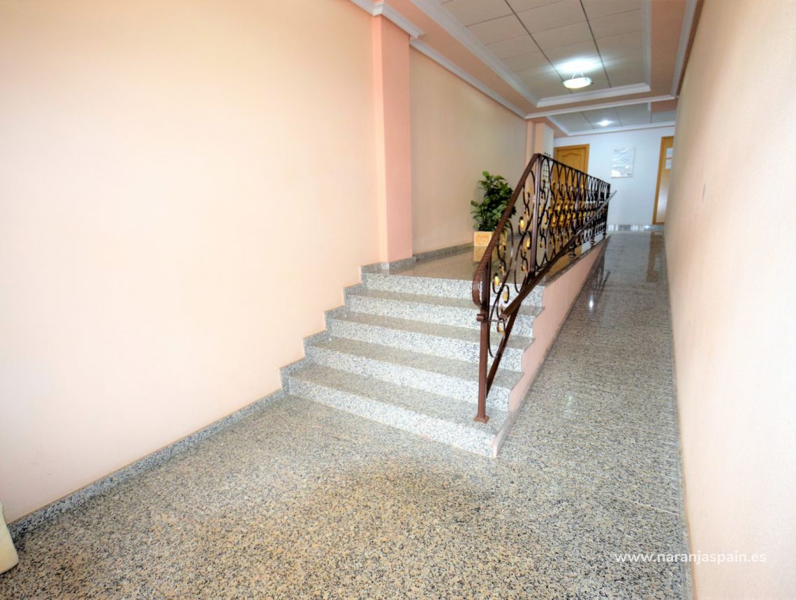 Wynajem długoterminowy - Apartament - Guardamar del Segura - Town Guardamar