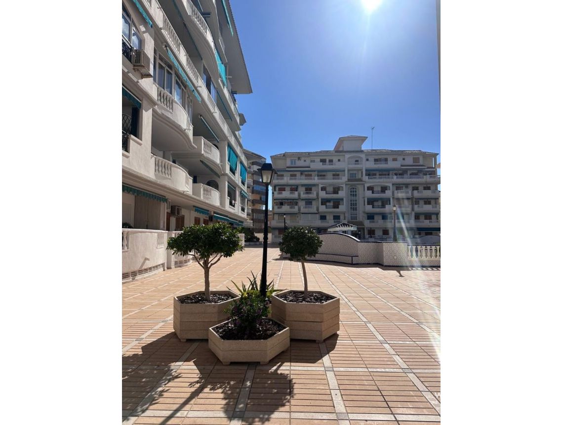 Wynajem długoterminowy - Apartament - La Mata, Torrevieja - Viñamar II