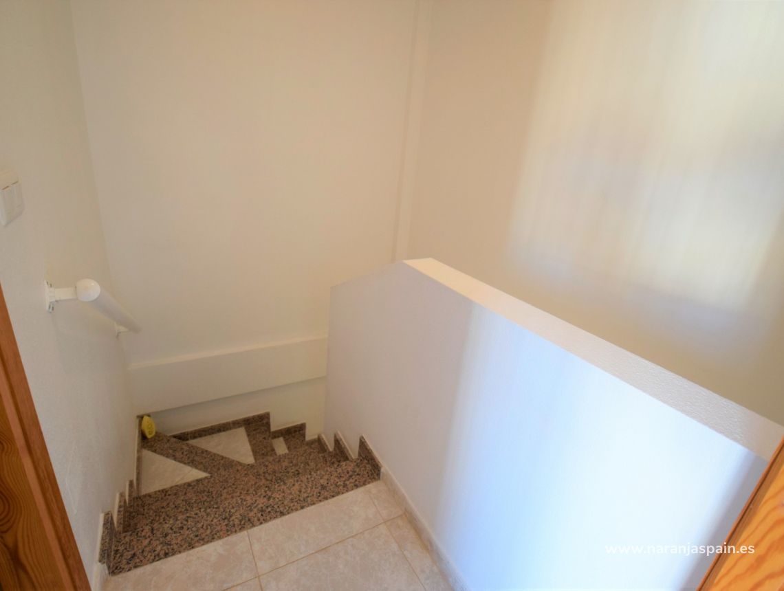 Wynajem długoterminowy - Willa - Torrevieja - Torrevieja town