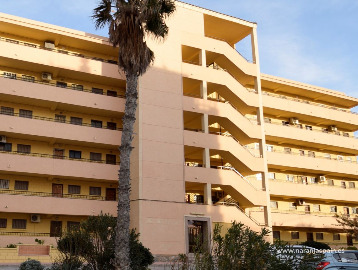 Wynajem wakacyjny - Apartament - Torrevieja - Cabo Cervera