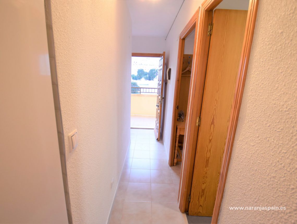 Wynajem wakacyjny - Apartament - Torrevieja - Cabo Cervera