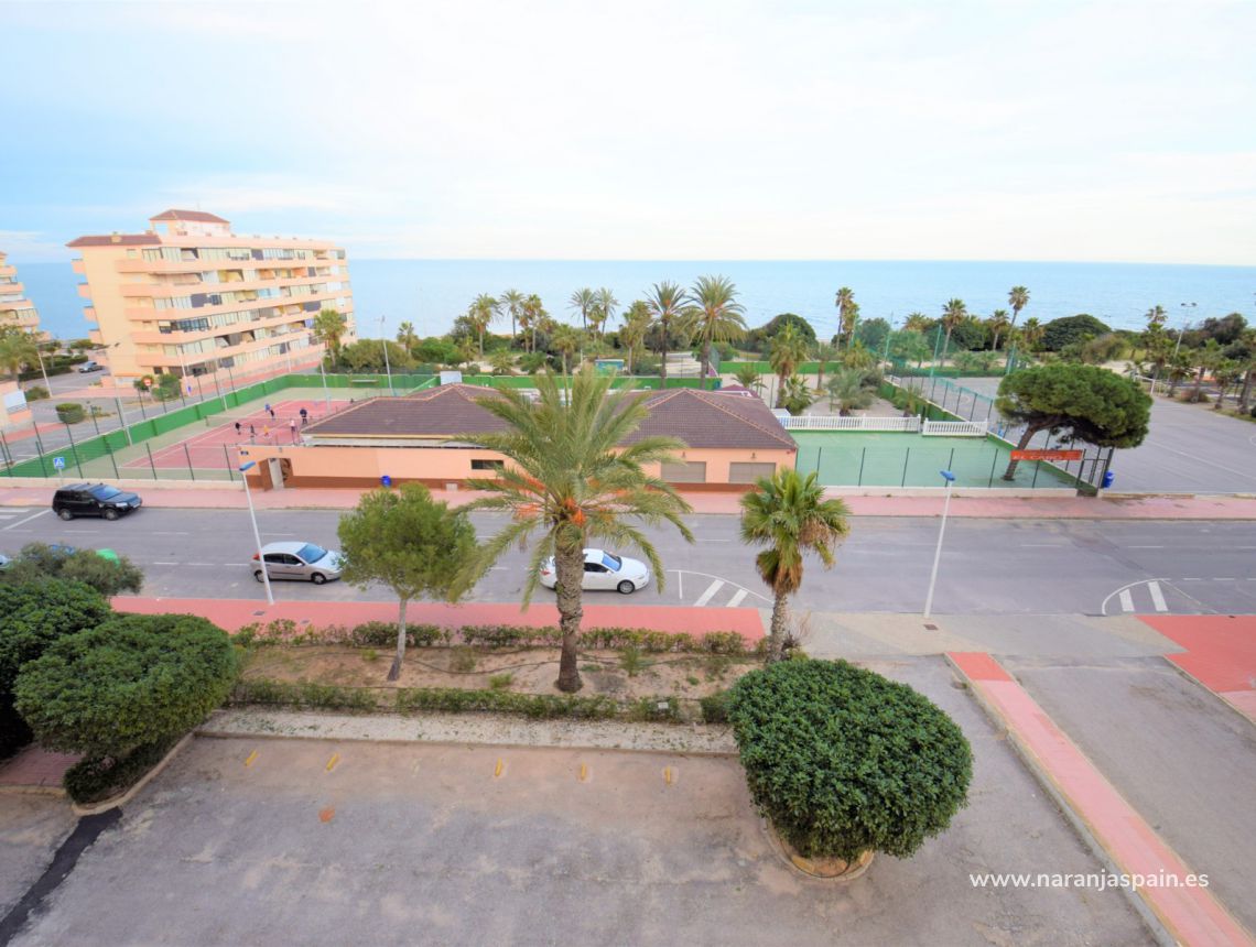 Wynajem wakacyjny - Apartament - Torrevieja - Cabo Cervera
