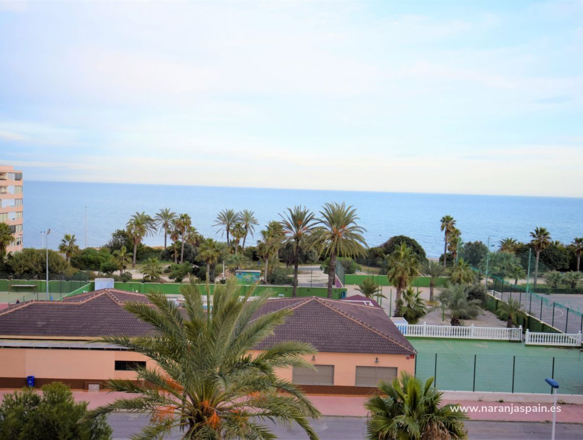 Wynajem wakacyjny - Apartament - Torrevieja - Cabo Cervera