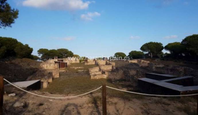 Det arkeologiska arvet i Guardamar del Segura