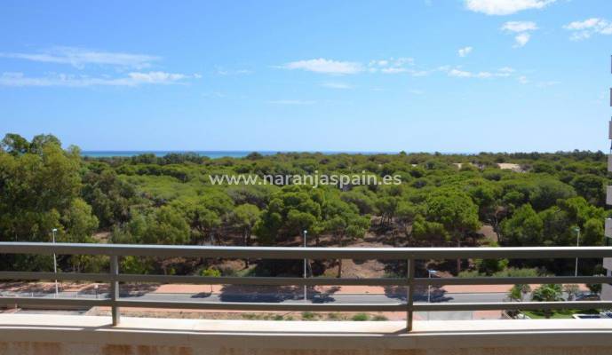 Leva vid kusten i Guardamar för mindre än 99.000 € ?