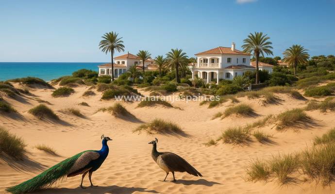 Investment Opportunities in Guardamar Real Estate: From Affordable Apartments to Luxury Villas Near Natural Wonders