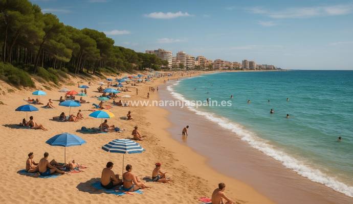 De beste strendene i Guardamar del Segura og Torrevieja