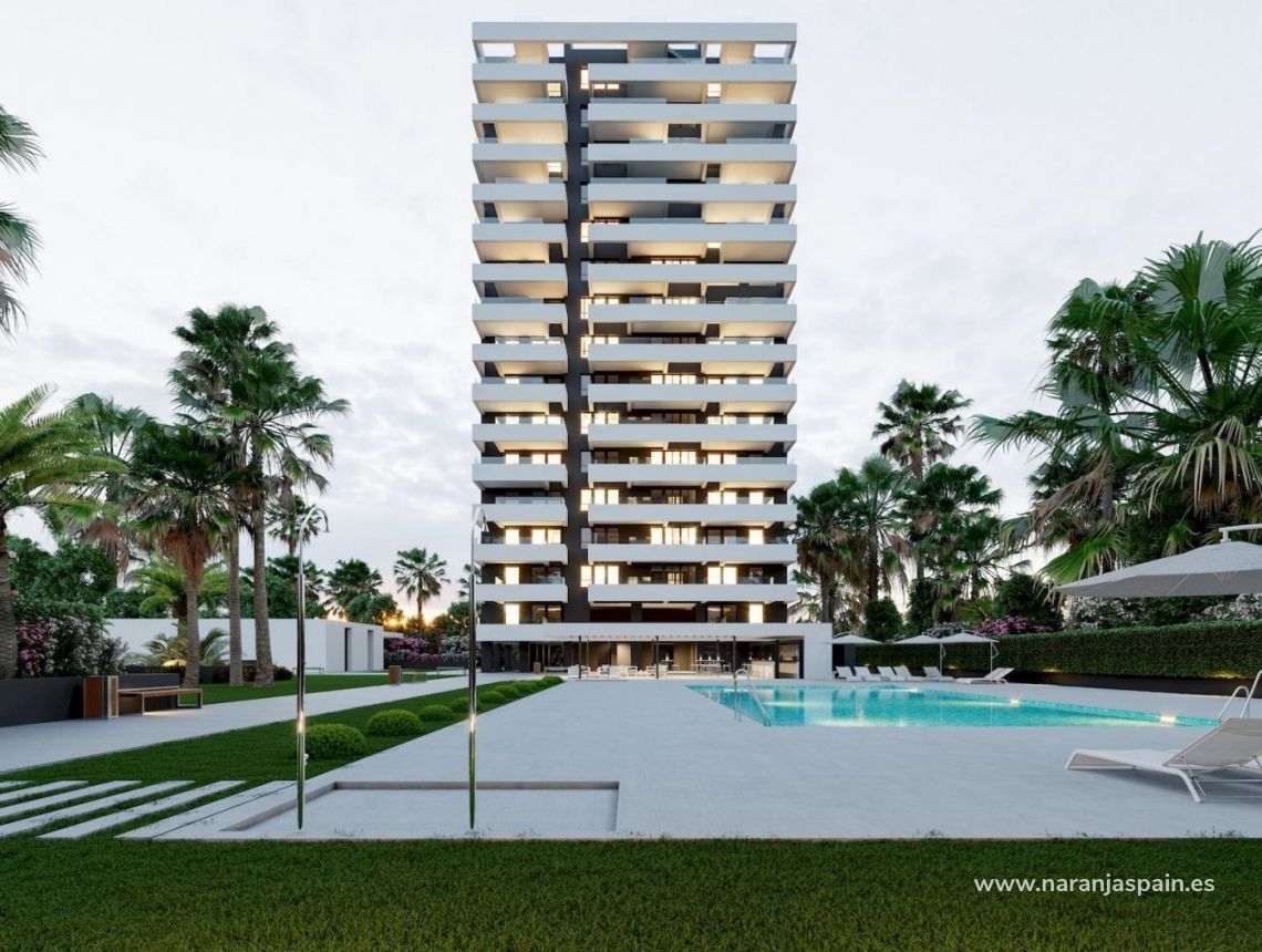 Penthouses -  - Calpe - Playa Arenal-bol