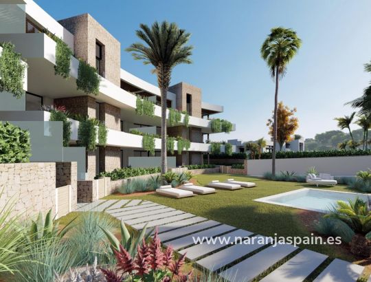 Butas -  - La Manga - Las Orquídeas