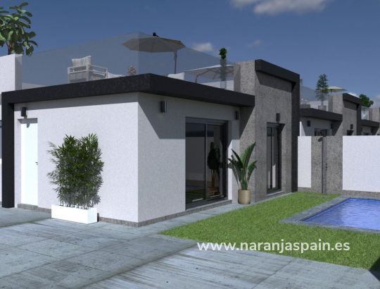 Villa -  - Torre Pacheco - pueblo