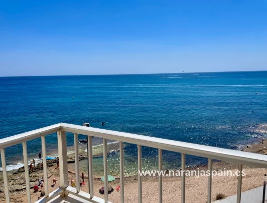Apartament - Sprzedaż - Torrevieja - Playa del cura