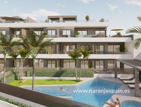 Apartment -  - Pilar de la Horadada - pueblo