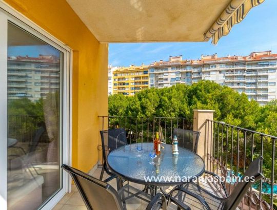 Apartamento - Segunda Mano - Orihuela Costa - Campoamor