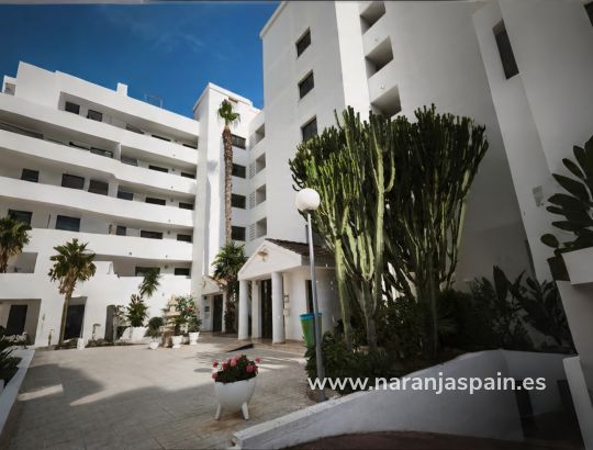 Apartamento - Segunda Mano - Guardamar del Segura - Parque Sur 