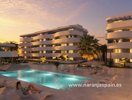 Penthouse -  - Guardamar del Segura - El Raso