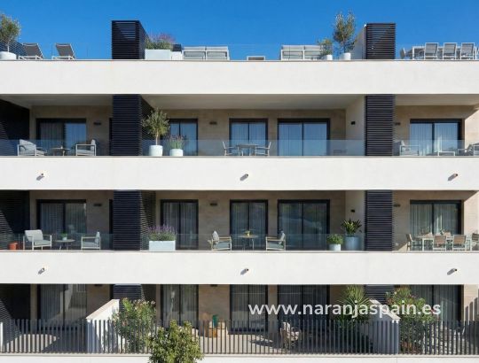 Apartament -  - Benijofar - Pueblo