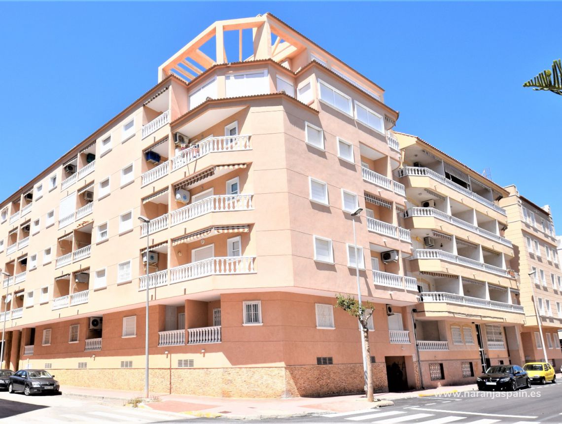 Apartamento - Alquiler larga estancia - Guardamar del Segura - Mercadona Guardamar