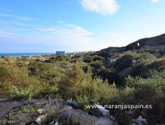 Land - Sale - Guardamar del Segura - Los Secanos