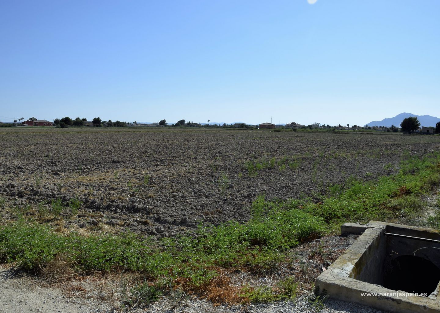 Parcela rústica en venta en Catral zona Catral