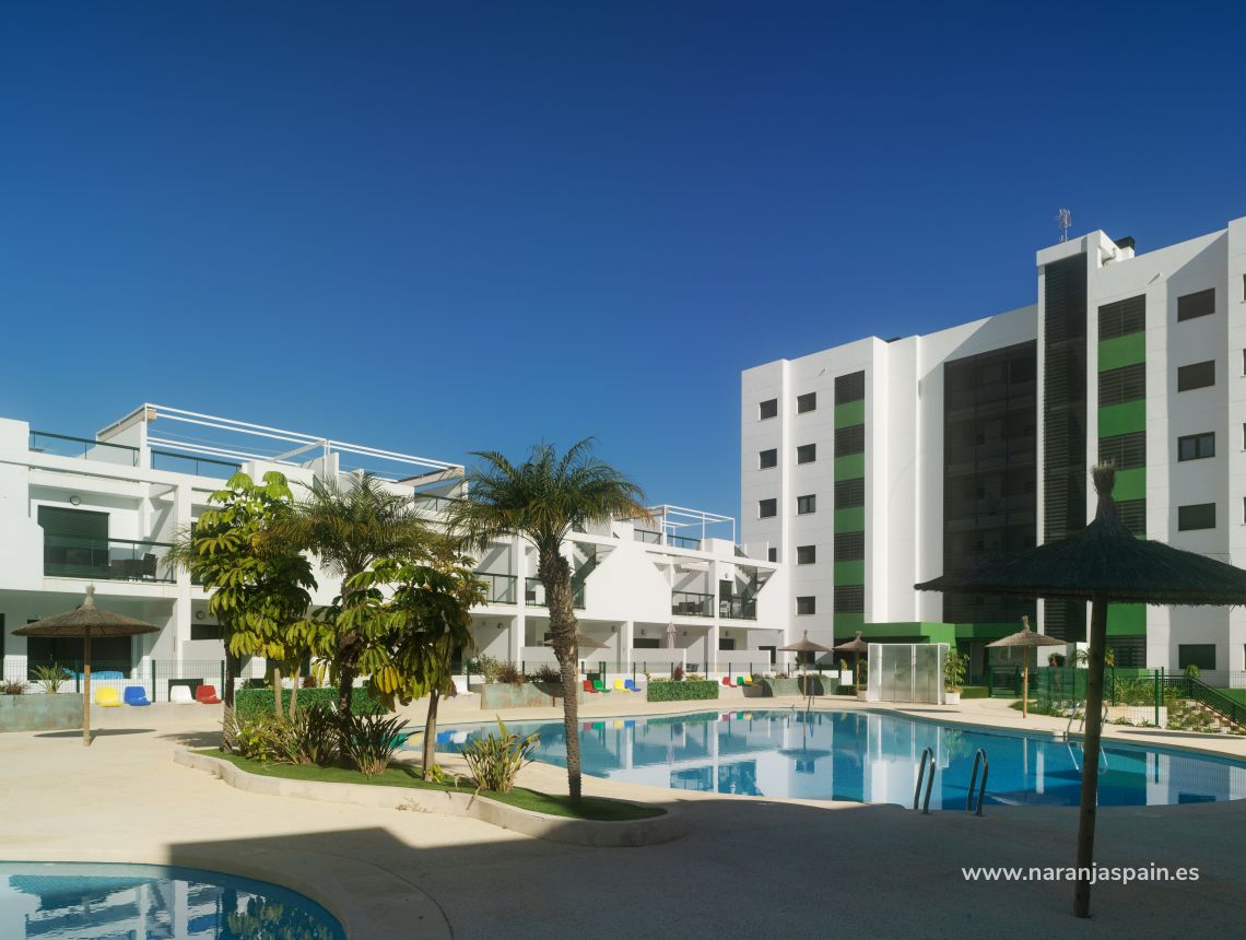 Апартаменты - New build - Pilar de la Horadada - тысяча пальм