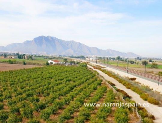 Landa - Sale - Callosa del Segura - Callosa De Segura