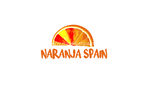 How to Negotiate Property Prices in Spain: Practical Guide for Costa Blanca Buyers 2026